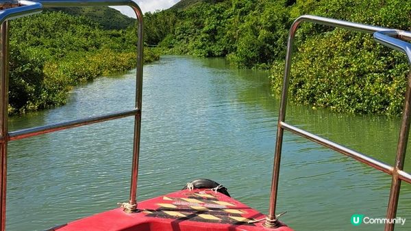 《大嶼山二澳有機稻米田》插秧體驗活動