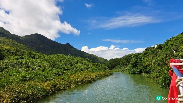 《大嶼山二澳有機稻米田》插秧體驗活動