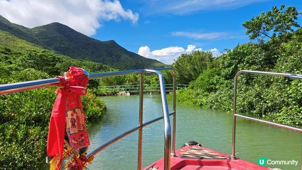 《大嶼山二澳有機稻米田》插秧體驗活動