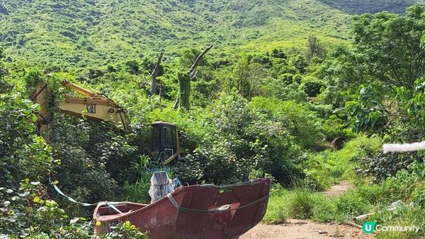 《大嶼山二澳有機稻米田》插秧體驗活動