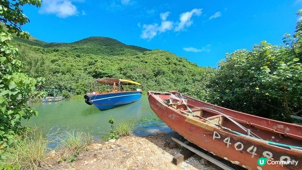 《大嶼山二澳有機稻米田》插秧體驗活動