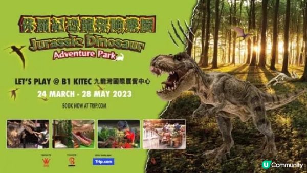 喜歡恐龍🦖的小朋友智商或許較高🤓🤔