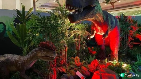 喜歡恐龍🦖的小朋友智商或許較高🤓🤔