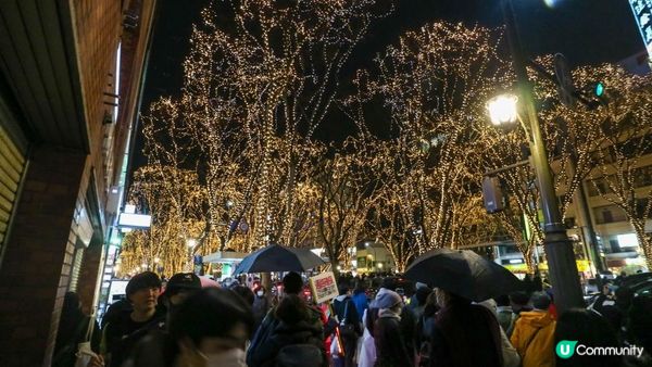 [遊記]獨遊5日仙台+大內宿休閑之旅(21) : 仙台12月獨有燈飾 - 光之樂章