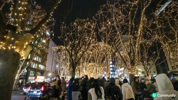 [遊記]獨遊5日仙台+大內宿休閑之旅(21) : 仙台12月獨有燈飾 - 光之樂章