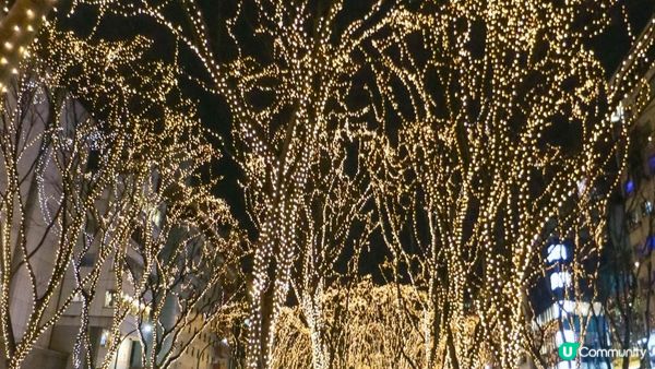 [遊記]獨遊5日仙台+大內宿休閑之旅(21) : 仙台12月獨有燈飾 - 光之樂章