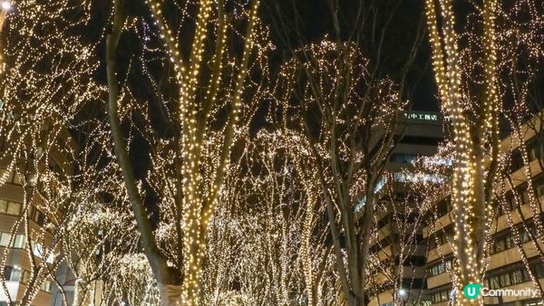[遊記]獨遊5日仙台+大內宿休閑之旅(21) : 仙台12月獨有燈飾 - 光之樂章