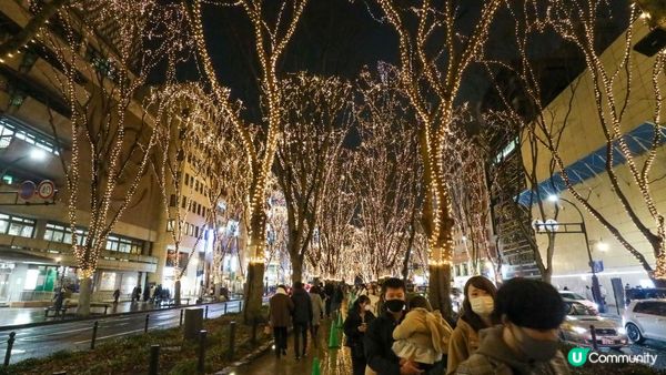 [遊記]獨遊5日仙台+大內宿休閑之旅(21) : 仙台12月獨有燈飾 - 光之樂章