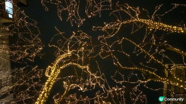 [遊記]獨遊5日仙台+大內宿休閑之旅(21) : 仙台12月獨有燈飾 - 光之樂章