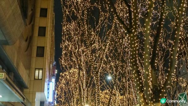 [遊記]獨遊5日仙台+大內宿休閑之旅(21) : 仙台12月獨有燈飾 - 光之樂章