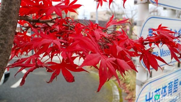 [遊記]獨遊5日仙台+大內宿休閑之旅(19) : 仙台三井Outlet + 超多種類運動用品店Super Sports Xebio