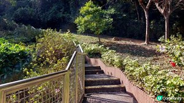 圓洲角公園登山