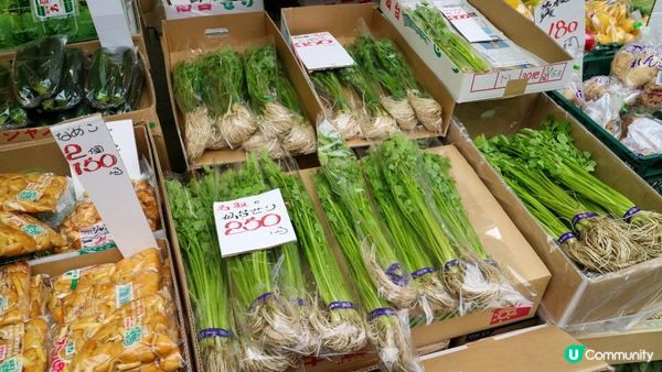 [遊記]獨遊5日仙台+大內宿休閑之旅(18) : 仙台朝市 - 體驗當地特色街市