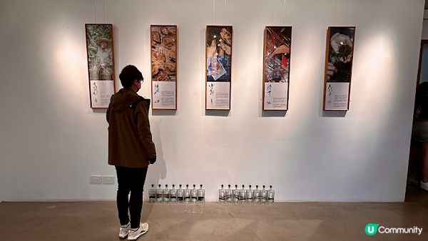 💛【白蘭樹下】【Gin Tasting見学けんがく】品酒工作坊