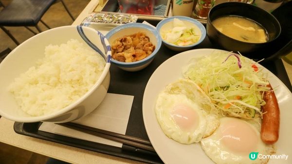 [遊記]獨遊5日仙台+大內宿休閑之旅(13) : 宮城蔵王狐狸村 - 同一大群狐狸共聚一堂