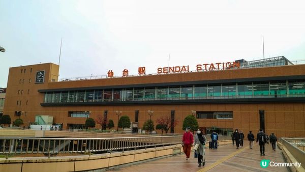 [遊記]獨遊5日仙台+大內宿休閑之旅(13) : 宮城蔵王狐狸村 - 同一大群狐狸共聚一堂