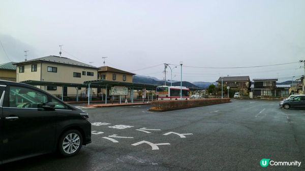 [遊記]獨遊5日仙台+大內宿休閑之旅(13) : 宮城蔵王狐狸村 - 同一大群狐狸共聚一堂