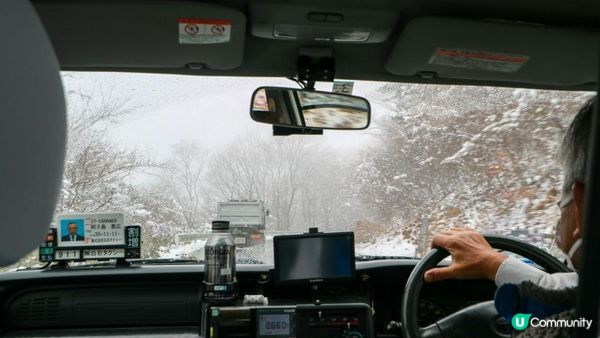 [遊記]獨遊5日仙台+大內宿休閑之旅(13) : 宮城蔵王狐狸村 - 同一大群狐狸共聚一堂