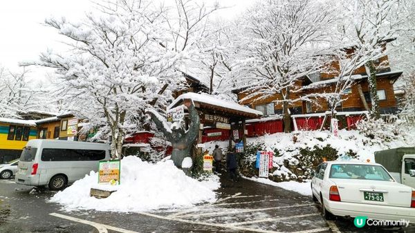 [遊記]獨遊5日仙台+大內宿休閑之旅(13) : 宮城蔵王狐狸村 - 同一大群狐狸共聚一堂