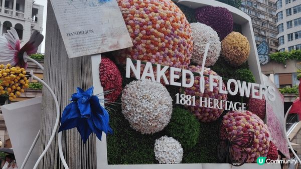 以花為主題，光影展示花的動靜美態，參觀時能融合花之世界，跟其...