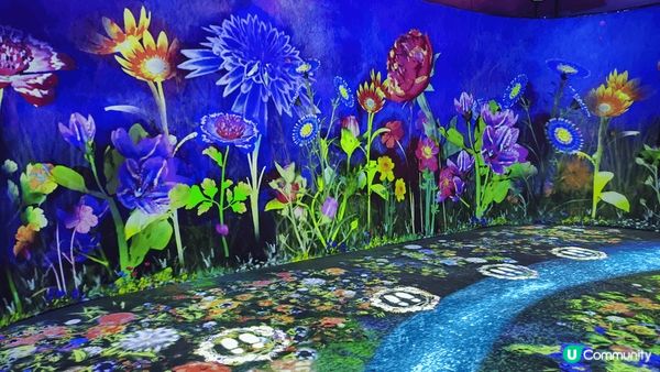 以花為主題，光影展示花的動靜美態，參觀時能融合花之世界，跟其...