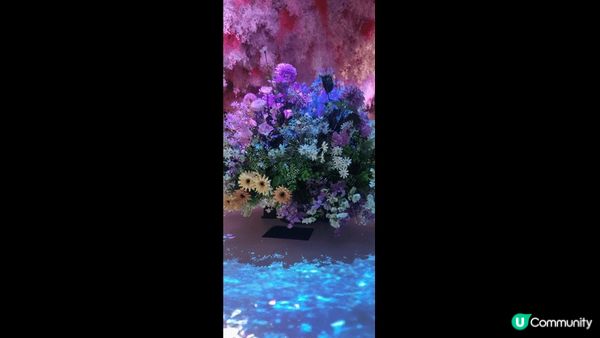 係1881入面有花舞光影展，入面有8大主題打卡點，有互動，可...