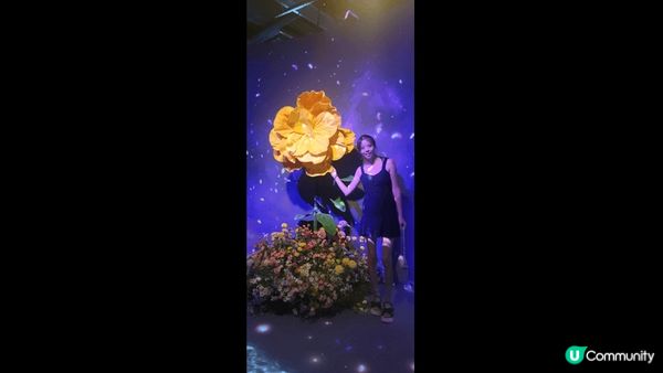 係1881入面有花舞光影展，入面有8大主題打卡點，有互動，可...