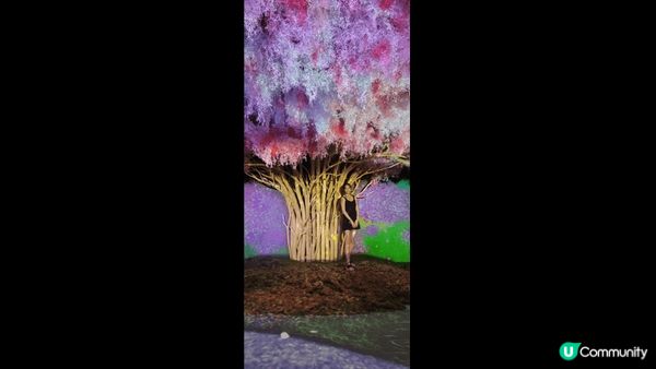 係1881入面有花舞光影展，入面有8大主題打卡點，有互動，可...