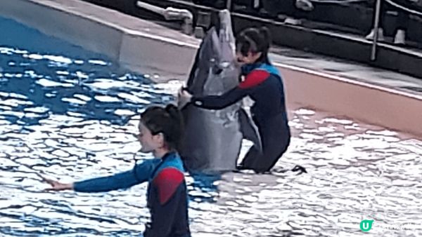 珠海長隆海洋王國, 涵蓋不同種類海洋動物, 還有詳細動物介紹...