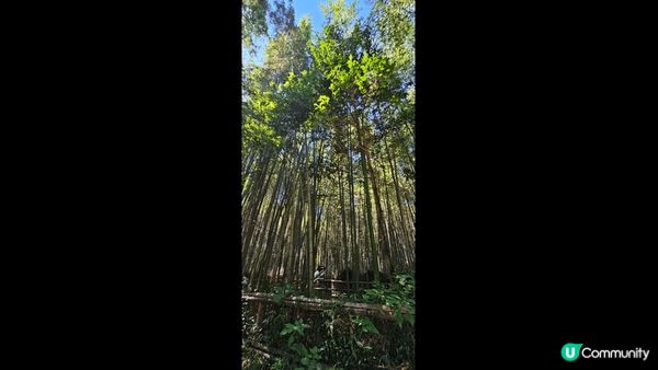 以上?三幅相都係今次去日本影?。 第一幅係初次去日本嘗試炸牛...