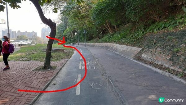 【元朗東成里至大欖轉車站行山篇】蠔殼山、掌牛山、井坑山、四排石山