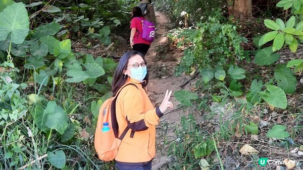 【元朗東成里至大欖轉車站行山篇】蠔殼山、掌牛山、井坑山、四排石山