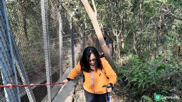 【元朗東成里至大欖轉車站行山篇】蠔殼山、掌牛山、井坑山、四排石山