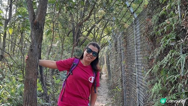 【元朗東成里至大欖轉車站行山篇】蠔殼山、掌牛山、井坑山、四排石山