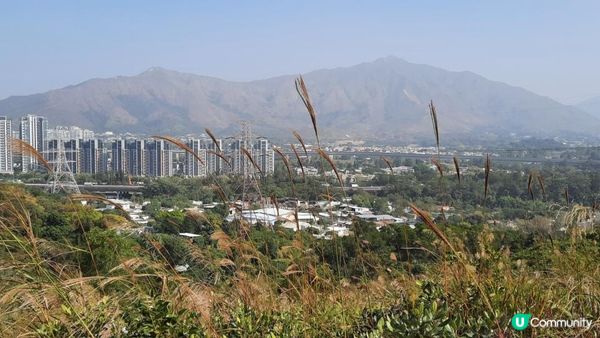 【元朗東成里至大欖轉車站行山篇】蠔殼山、掌牛山、井坑山、四排石山