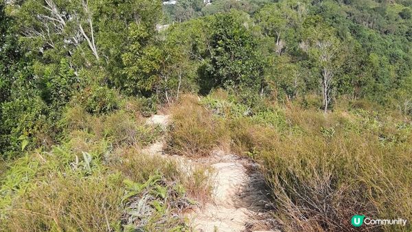 【元朗東成里至大欖轉車站行山篇】蠔殼山、掌牛山、井坑山、四排石山
