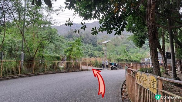 《屯門良景邨至龍鼓灘行山篇》五渡水、月牙谷、青松紅壑、牛頭山、皇帝岩