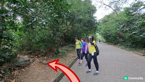 《屯門良景邨至龍鼓灘行山篇》五渡水、月牙谷、青松紅壑、牛頭山、皇帝岩