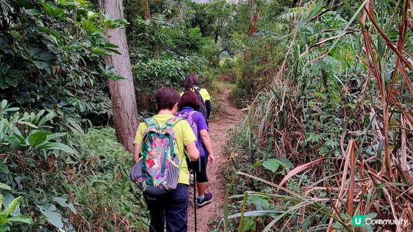 《屯門良景邨至龍鼓灘行山篇》五渡水、月牙谷、青松紅壑、牛頭山、皇帝岩
