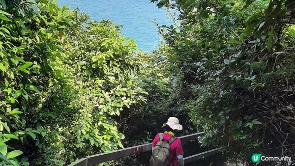 【西貢清水灣行山篇】龍蝦灣石刻、綠蛋島、刀片脊/坐佛崖、二戰海傍測距站