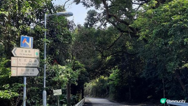 【西貢清水灣行山篇】龍蝦灣石刻、綠蛋島、刀片脊/坐佛崖、二戰海傍測距站