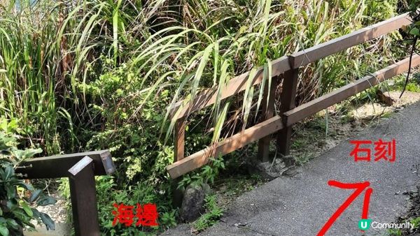 【西貢清水灣行山篇】龍蝦灣石刻、綠蛋島、刀片脊/坐佛崖、二戰海傍測距站