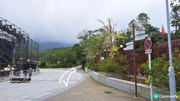《鳳凰山行山篇》鳳鳥石、一樹洞、心經簡林