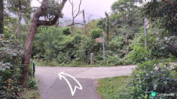 《鳳凰山行山篇》鳳鳥石、一樹洞、心經簡林