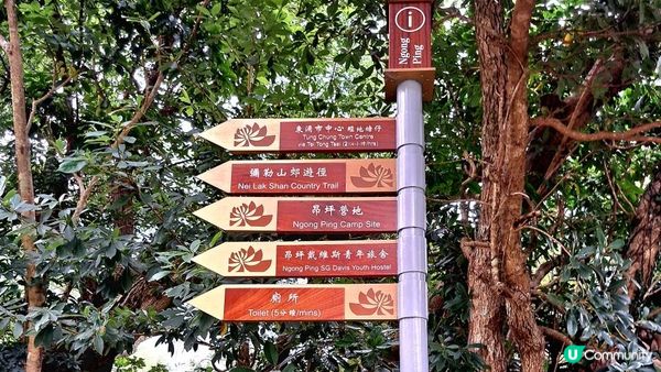 《鳳凰山行山篇》鳳鳥石、一樹洞、心經簡林