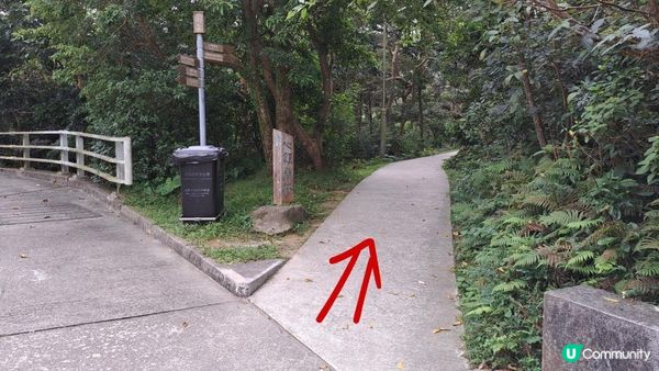 《鳳凰山行山篇》鳳鳥石、一樹洞、心經簡林