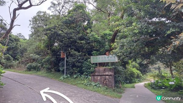 《鳳凰山行山篇》鳳鳥石、一樹洞、心經簡林