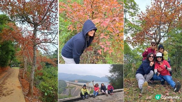 《屯門公路轉車站至深井行山篇》大欖涌水塘、大欖林道青龍頭段/清快塘段、清快塘(喜香農莊)