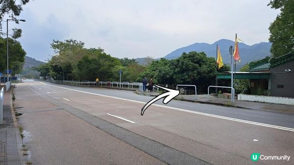 《屯門公路轉車站至深井行山篇》大欖涌水塘、大欖林道青龍頭段/清快塘段、清快塘(喜香農莊)