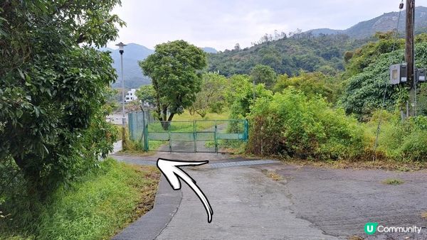 《屯門公路轉車站至深井行山篇》大欖涌水塘、大欖林道青龍頭段/清快塘段、清快塘(喜香農莊)